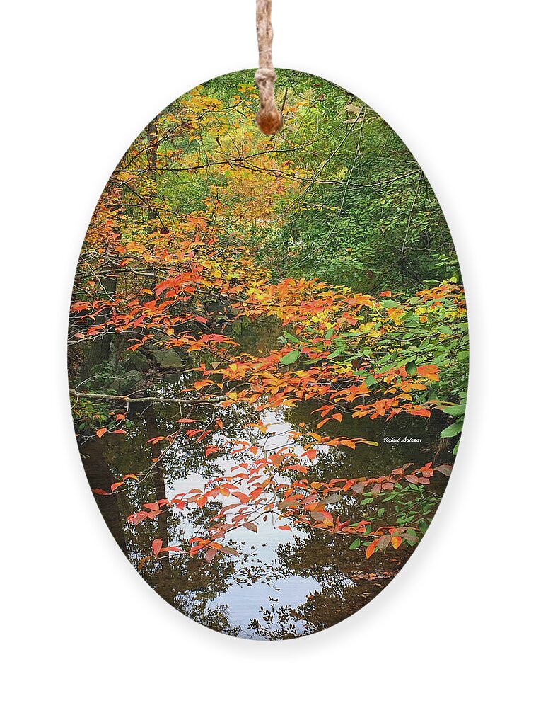 Fall Leaves Ornament featuring the photograph Fall is in the Air by Rafael Salazar