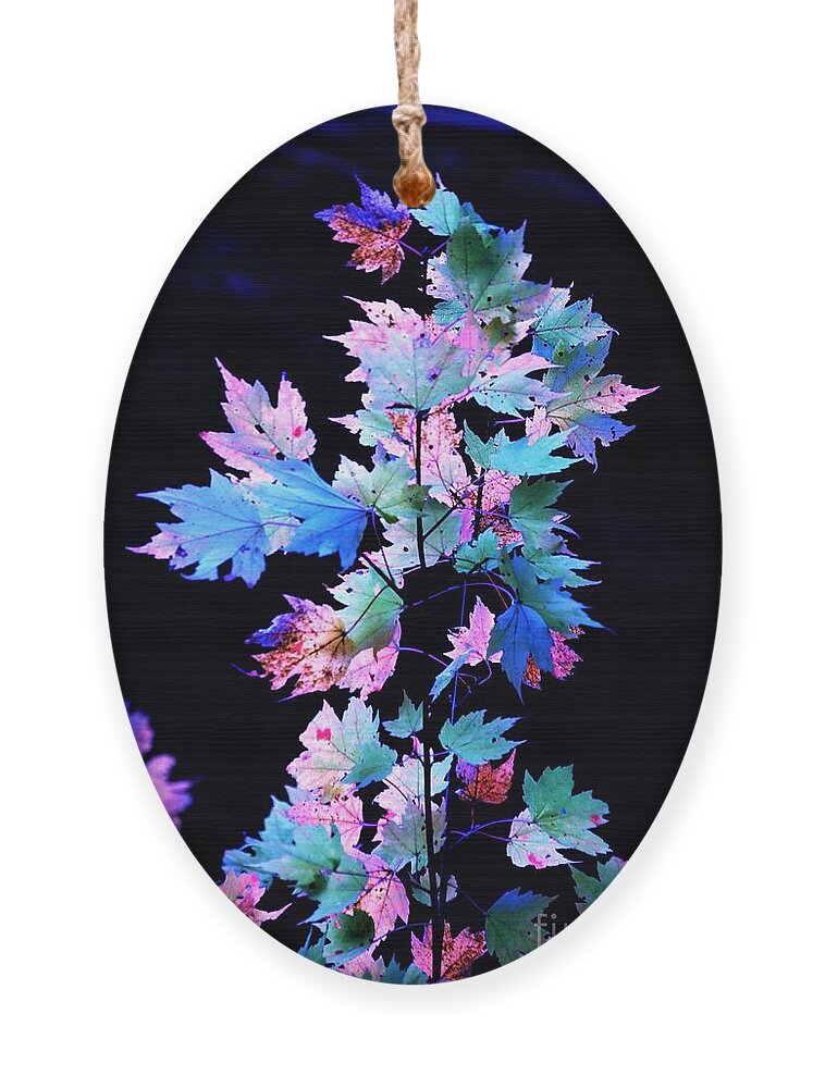 Autumn Ornament featuring the photograph Fall Leaves1 by Merle Grenz