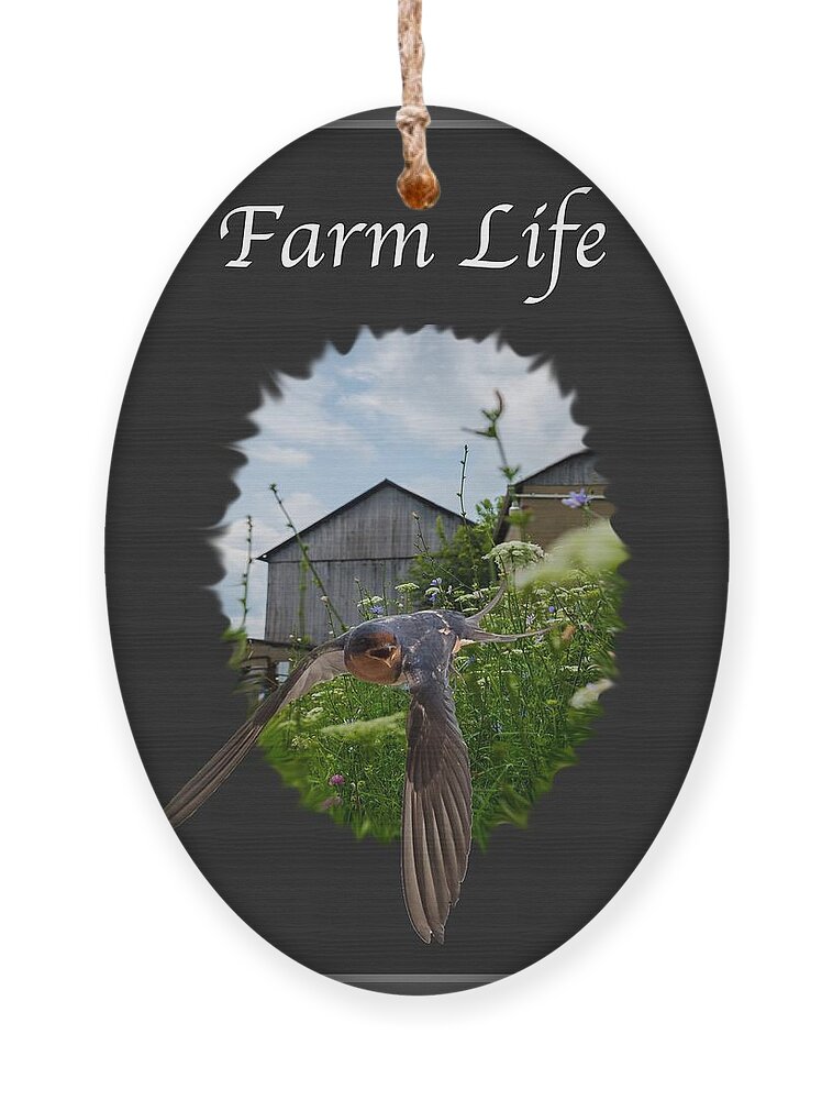 Farm Ornament featuring the photograph Farm Life by Holden The Moment
