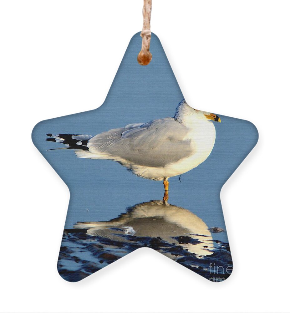 Gull Ornament featuring the photograph Feathered Float by Dani McEvoy
