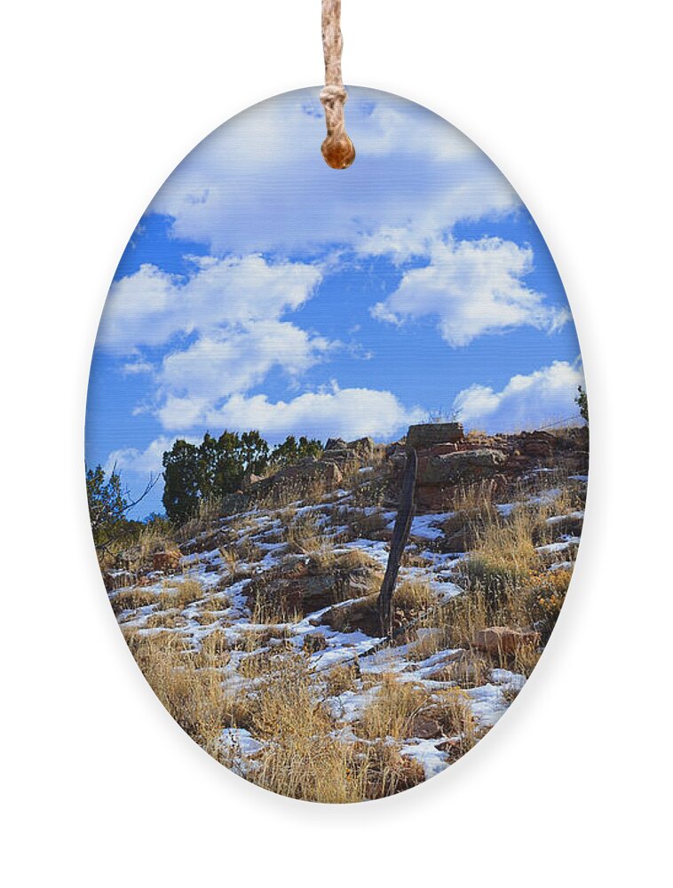 Southwest Landscape Ornament featuring the photograph Fence Post by Robert WK Clark