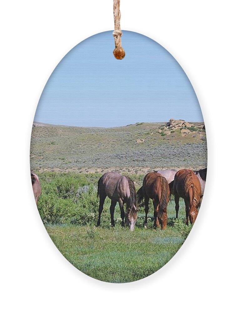 Fillies Ornament featuring the photograph Fillies Day Out by Merle Grenz