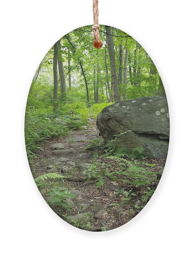 Path Ornament featuring the photograph Find Your Path by Vic Ritchey