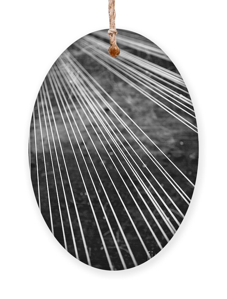 Fishing lines Ornament by Gaspar Avila - Pixels