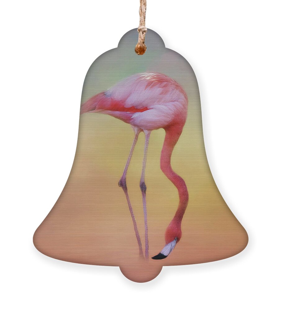 Ciconiiformes Ornament featuring the photograph Flame Colored Wader by Lana Trussell