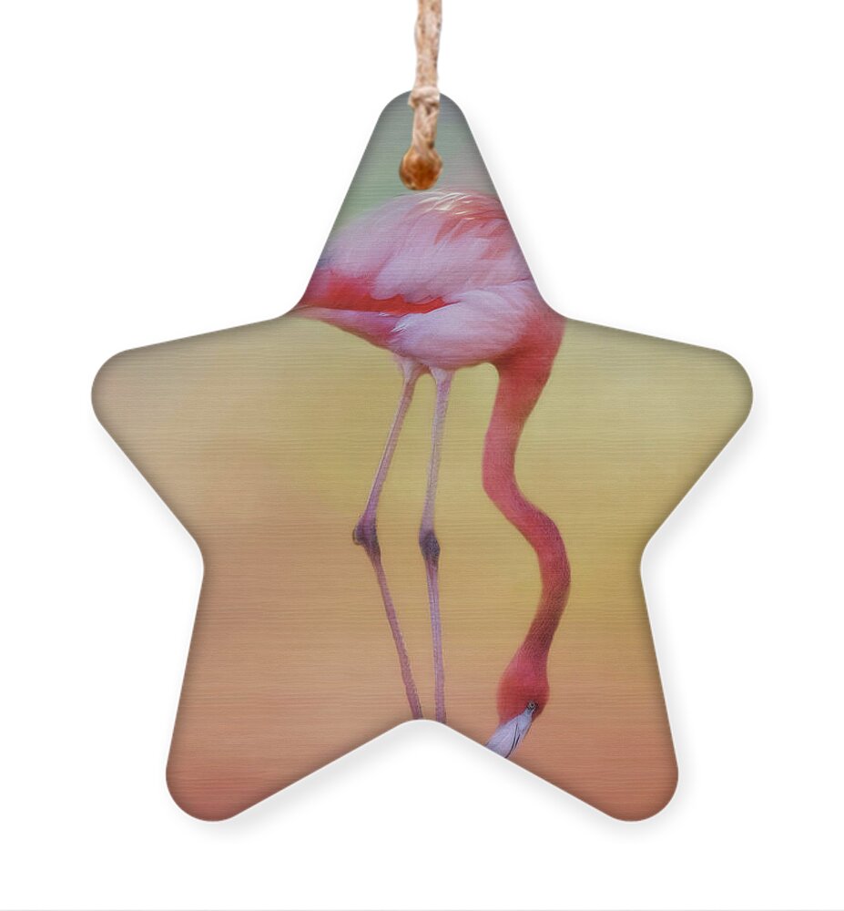 Ciconiiformes Ornament featuring the photograph Flame Colored Wader by Lana Trussell