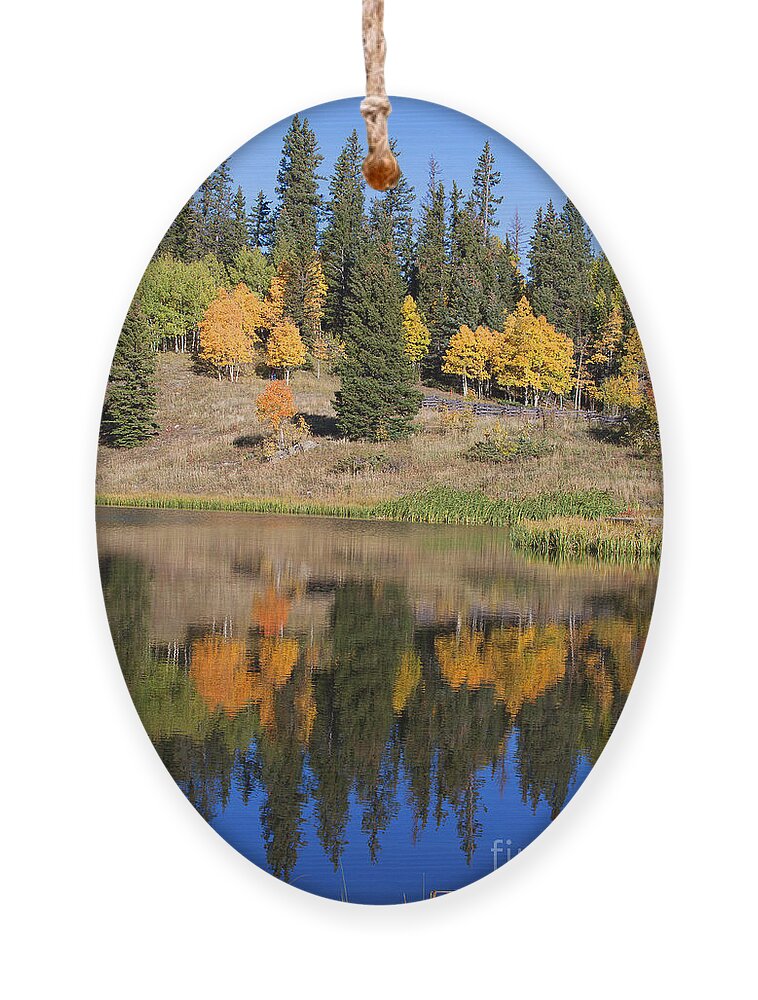 Autumn Colors Ornament featuring the photograph Flip Flop by Jim Garrison