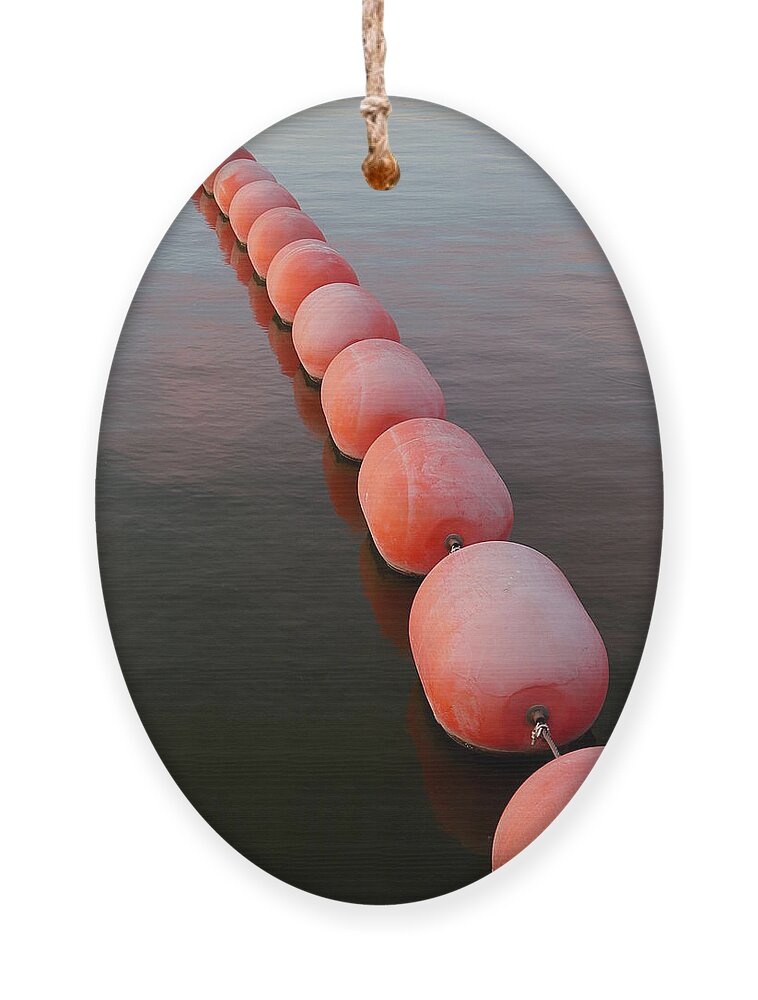 Richard Reeve Ornament featuring the photograph Floats by Richard Reeve