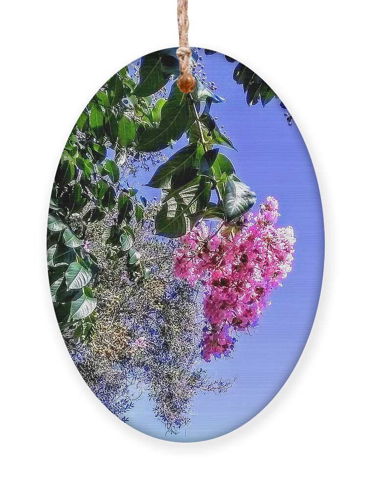 Flowering Tree Ornament featuring the photograph Floral Essence by Suzanne Berthier