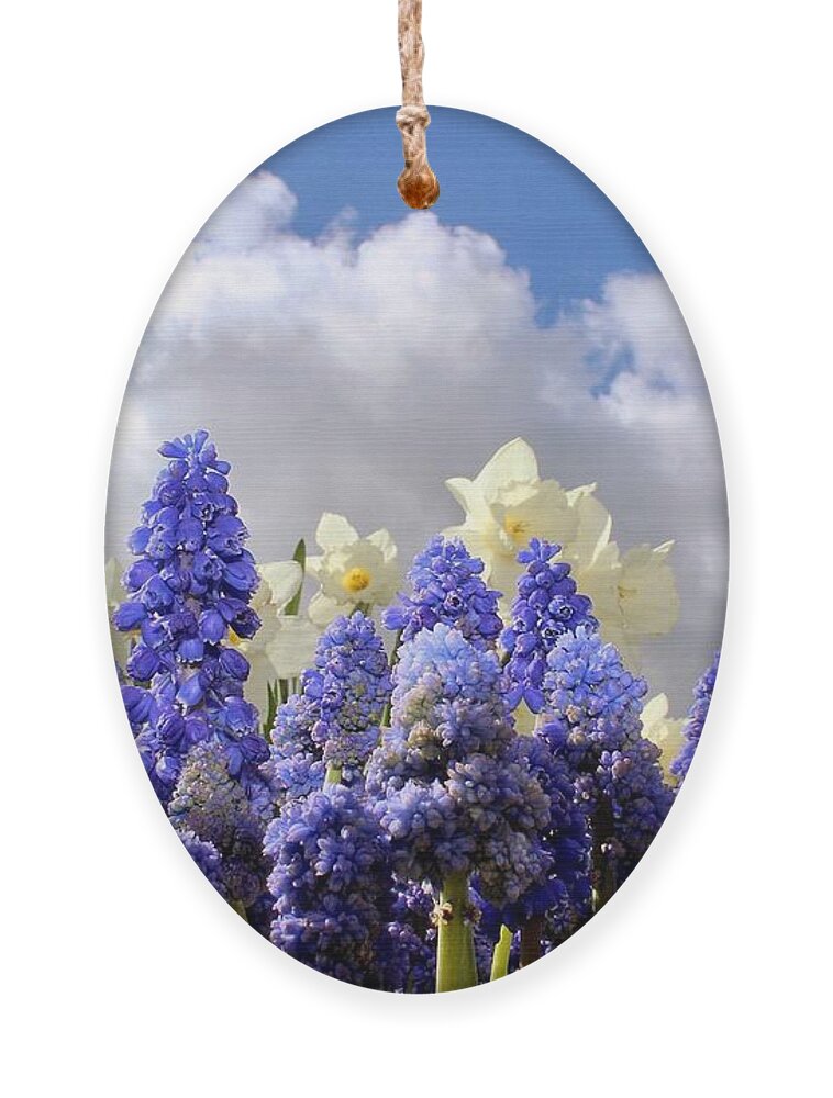 Flowers Ornament featuring the photograph Flowers and Sky by Brian Eberly