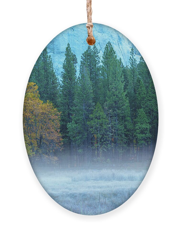 Nature Ornament featuring the photograph Fog-Frost-Fall by Jonathan Nguyen