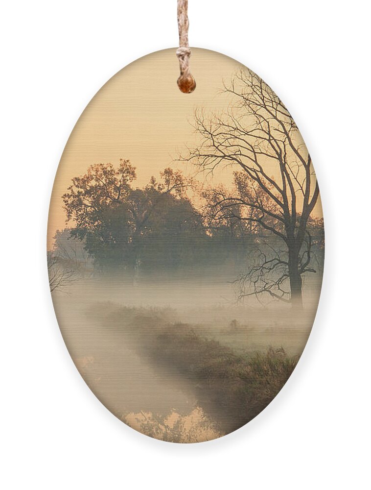 Illinois Ornament featuring the photograph Foggy Fall Morning on Gary Avenue by Joni Eskridge
