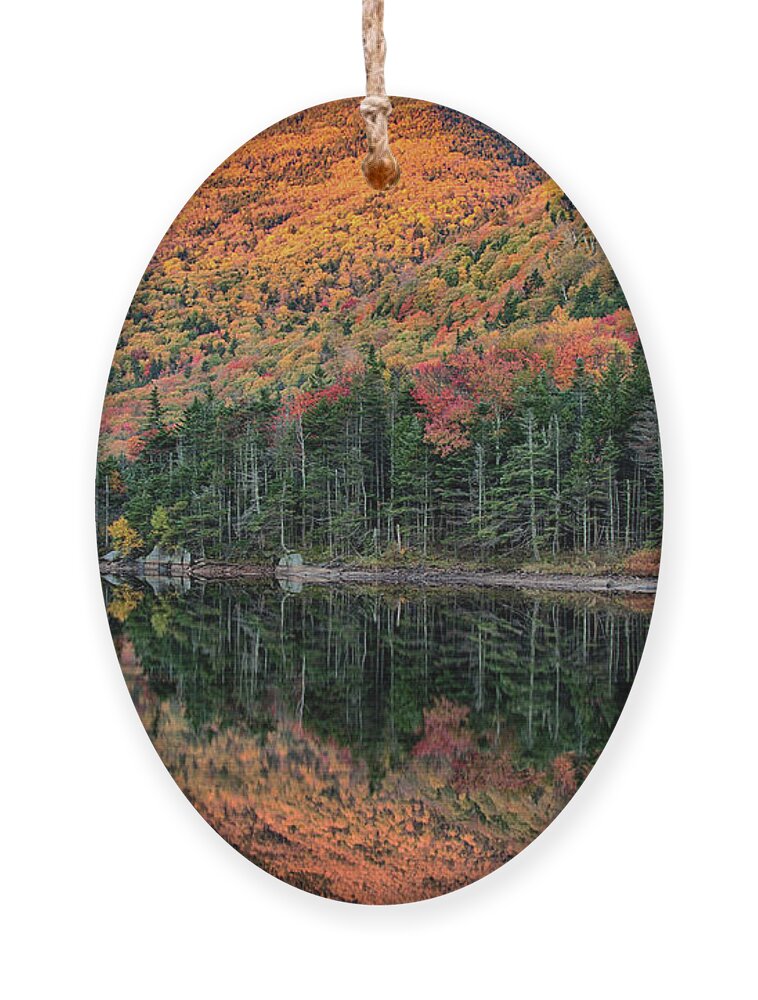 Beaver Pond Ornament featuring the photograph foliage at dawn on Beaver pond by Jeff Folger