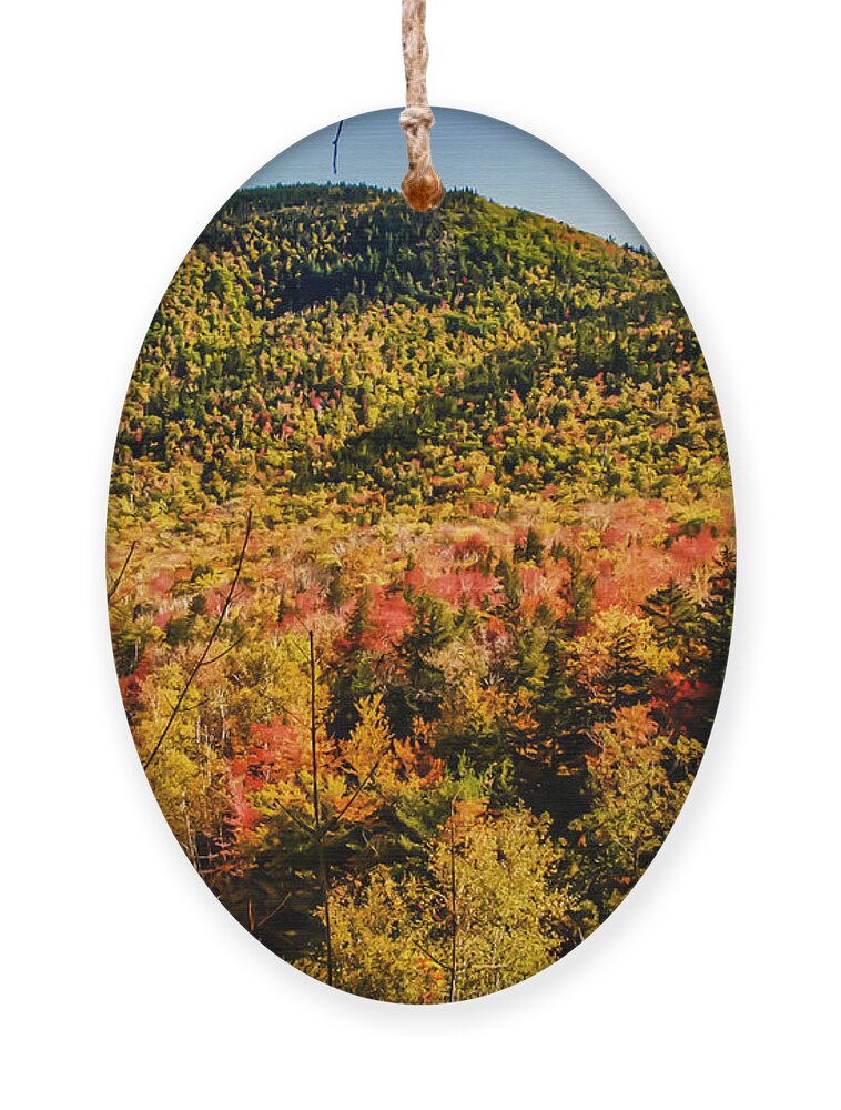 #fallfun Ornament featuring the photograph Foliage View from Crawford Notch road by Jeff Folger