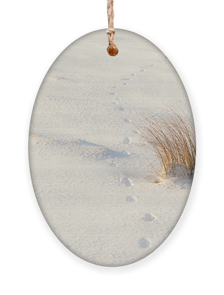 Winter Ornament featuring the photograph Footprints and Reeds i by Helen Jackson