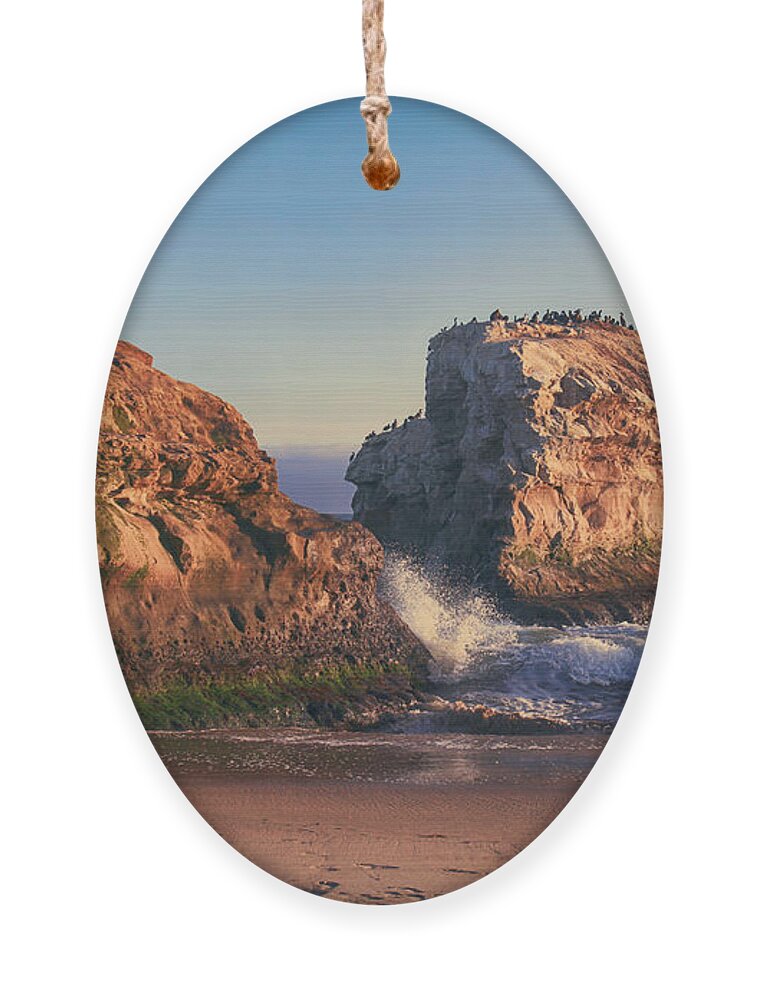 Santa Cruz Ornament featuring the photograph For the Rest of My Days by Laurie Search