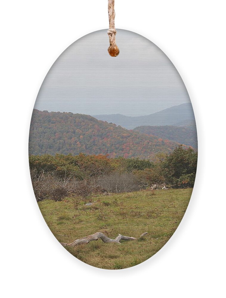  Top Of Mountain Ornament featuring the photograph Forest Highlands by Allen Nice-Webb