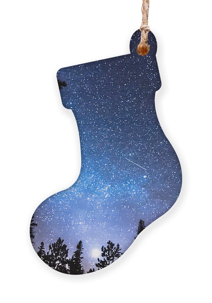 Sky Ornament featuring the photograph Forest Star Gazing An Astronomy Delight by James BO Insogna