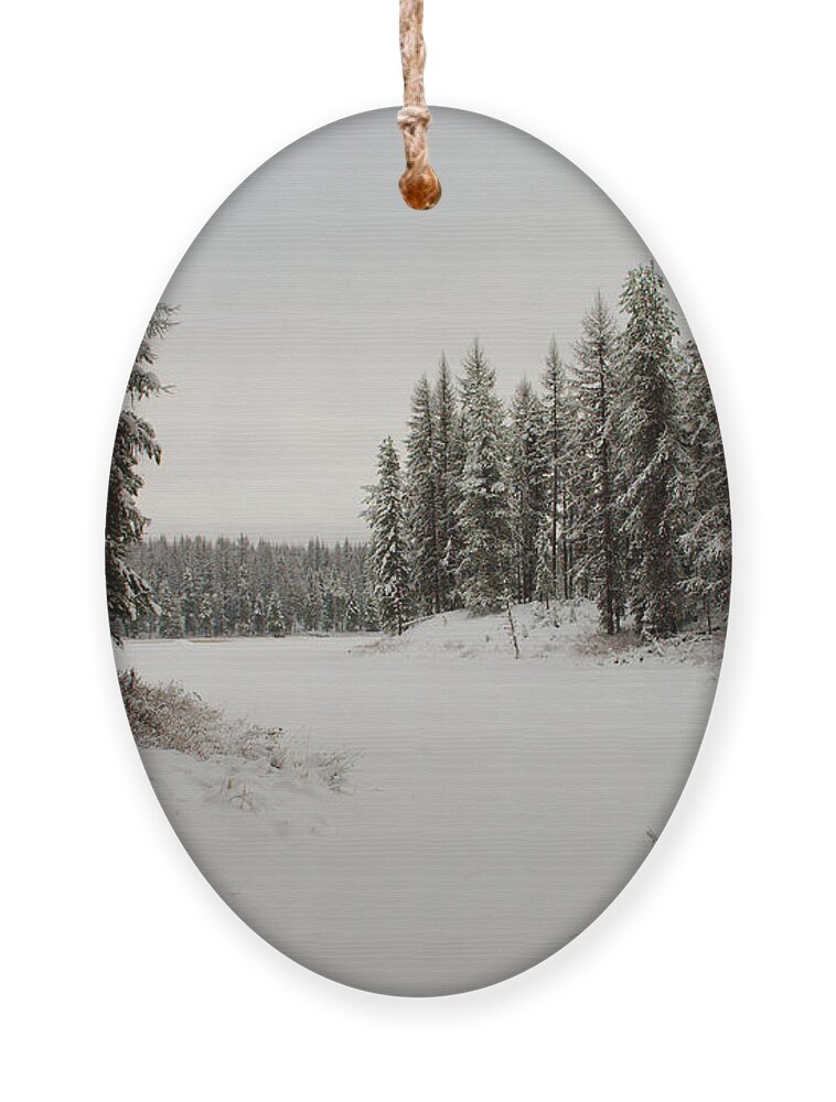 Frater Lake Ornament featuring the photograph Frater Lake by Troy Stapek