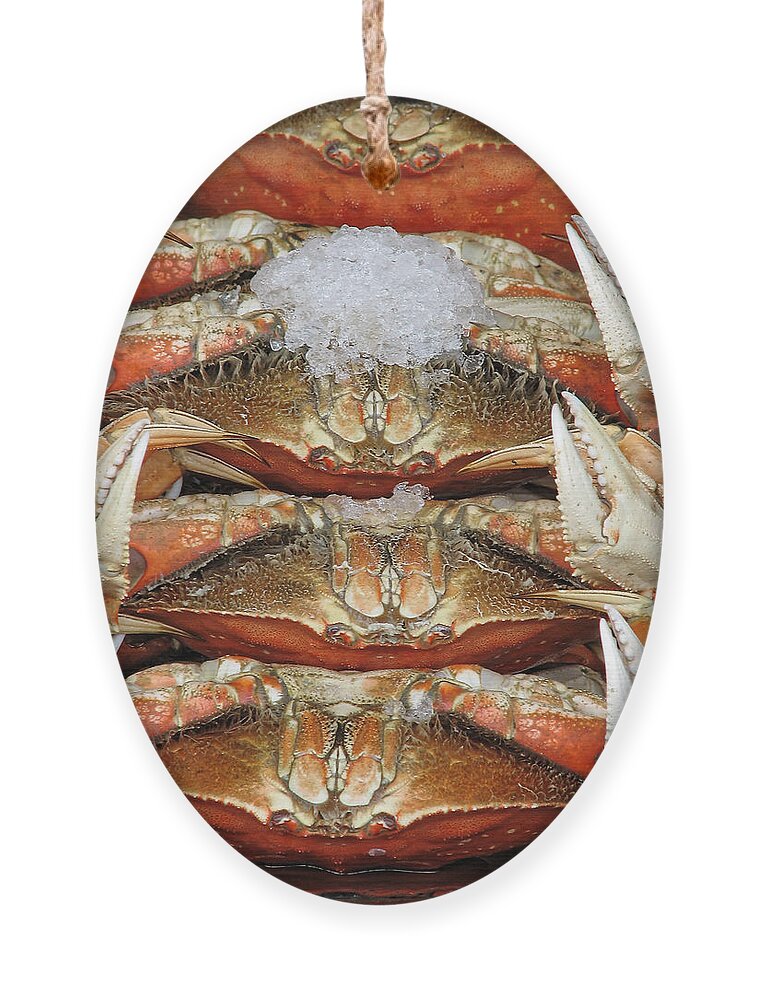 Darin Volpe Food Ornament featuring the photograph Fresh Crabs - San Francisco California by Darin Volpe