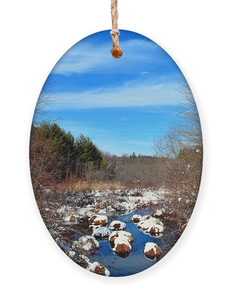 Snow Ornament featuring the photograph Frosted River Grass by Dani McEvoy