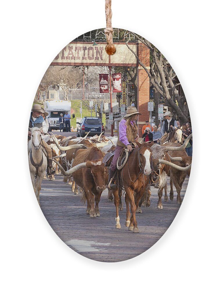Fort Worth Ornament featuring the photograph Ft Worth Longhorn Cattle Drive by Anthony Totah