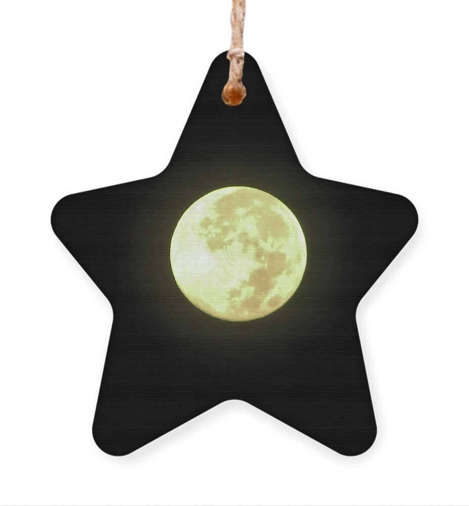 Moon Ornament featuring the photograph Full Moon August 2014 by D Hackett