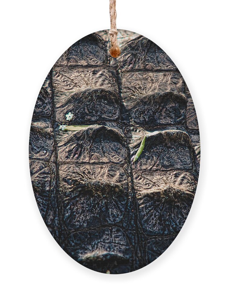 Alligator Ornament featuring the photograph Gator Armor by Christopher Holmes