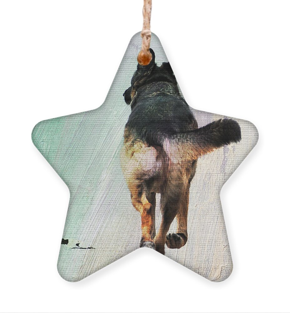 German Ornament featuring the photograph German Shepherd Taking a Walk by Jai Johnson