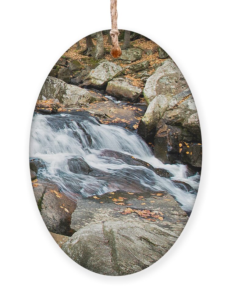 Waterfall Ornament featuring the photograph Glendale Falls by Lorraine Cosgrove