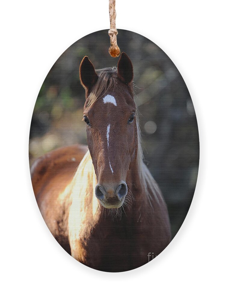  Ornament featuring the photograph Glory #2 by Carien Schippers