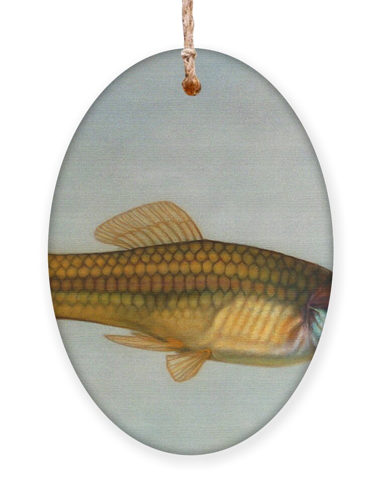 Fish Ornament featuring the painting Go Fish by James W Johnson
