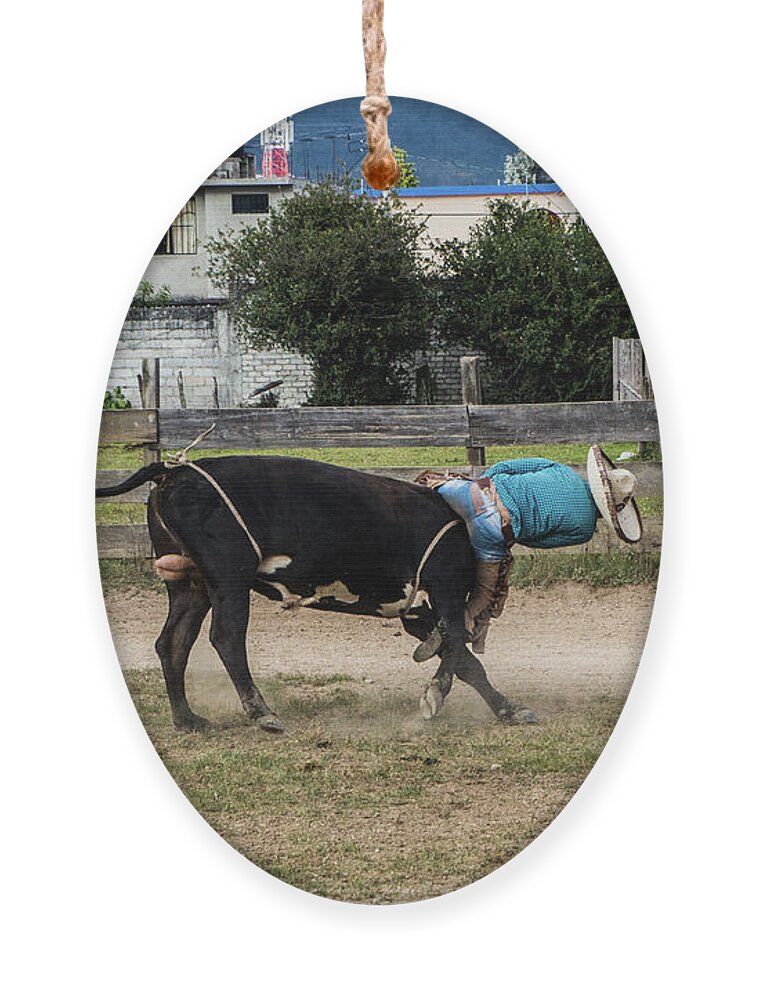 Chiapas Ornament featuring the photograph Going, Going by Kathy McClure