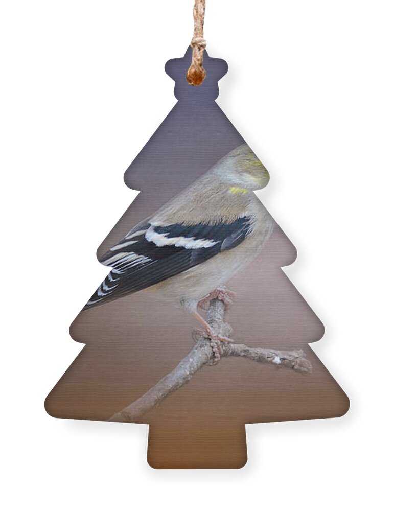 Jai Johnson Ornament featuring the photograph Goldfinch In The Light by Jai Johnson