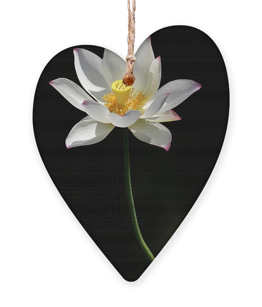 Lotus Ornament featuring the photograph Grand Lotus by Sabrina L Ryan