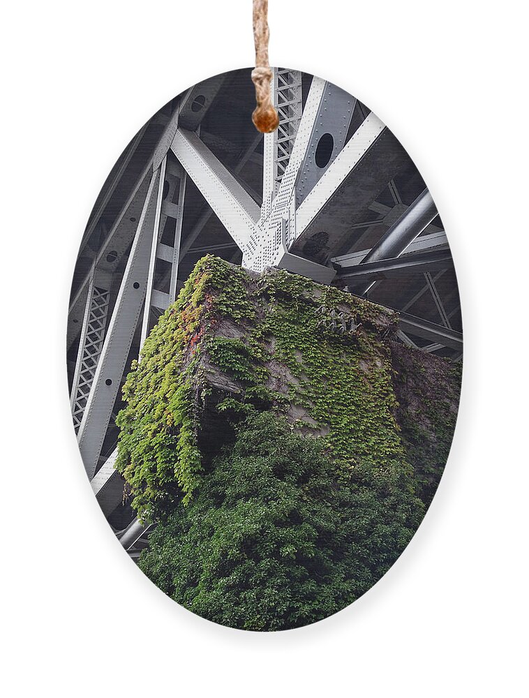 Granville Street Bridge Ornament featuring the photograph Granville Street Bridge Ivy by David T Wilkinson