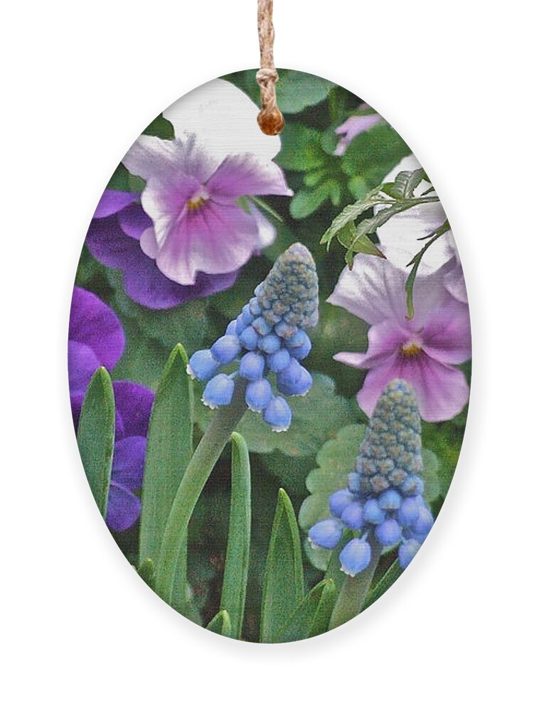 Hyacinth Ornament featuring the photograph Grape Hyacinth by Janis Senungetuk