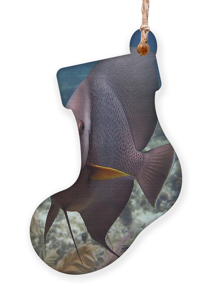 Underwater Ornament featuring the photograph Gray Angelfish by Daryl Duda
