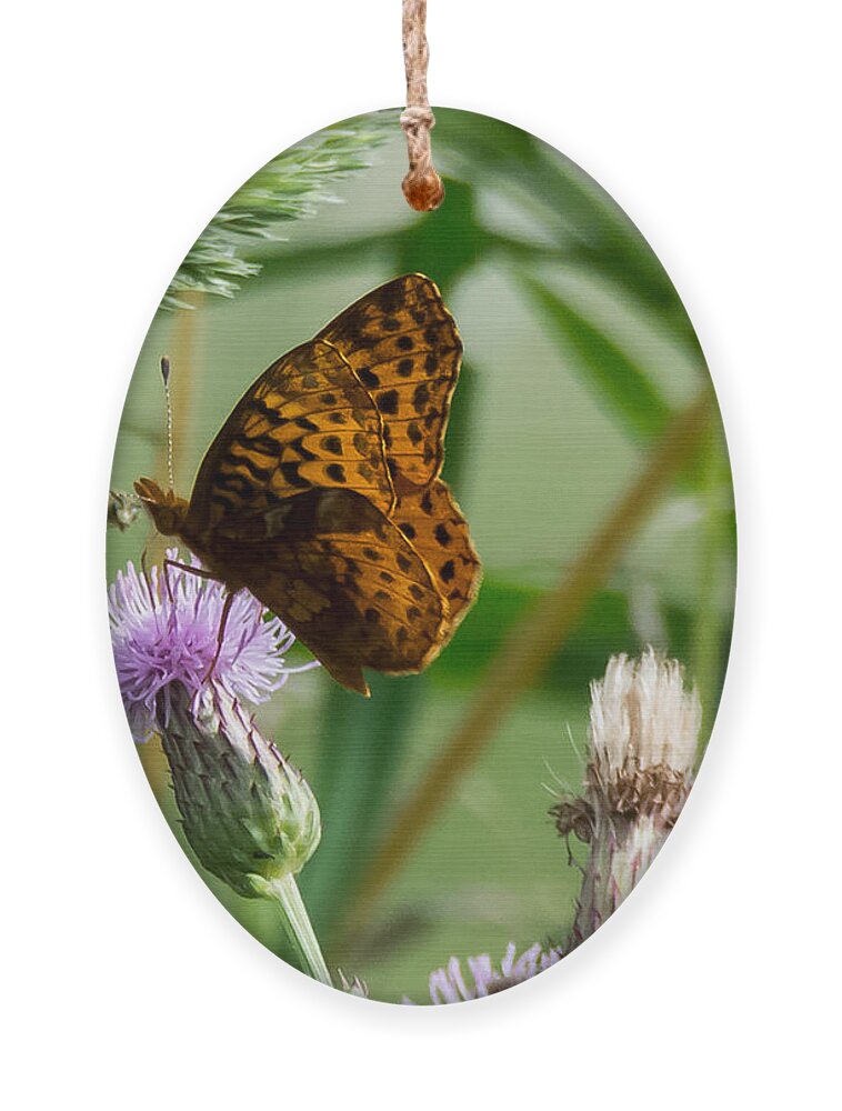 Great Spangled Fritillary Ornament featuring the photograph Great Spangled Fritillary by Holden The Moment