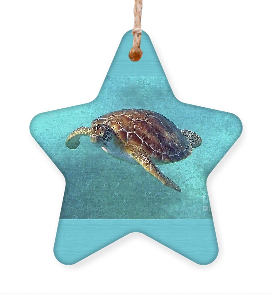 Underwater Ornament featuring the photograph Green Sea Turtle 3 by Daryl Duda