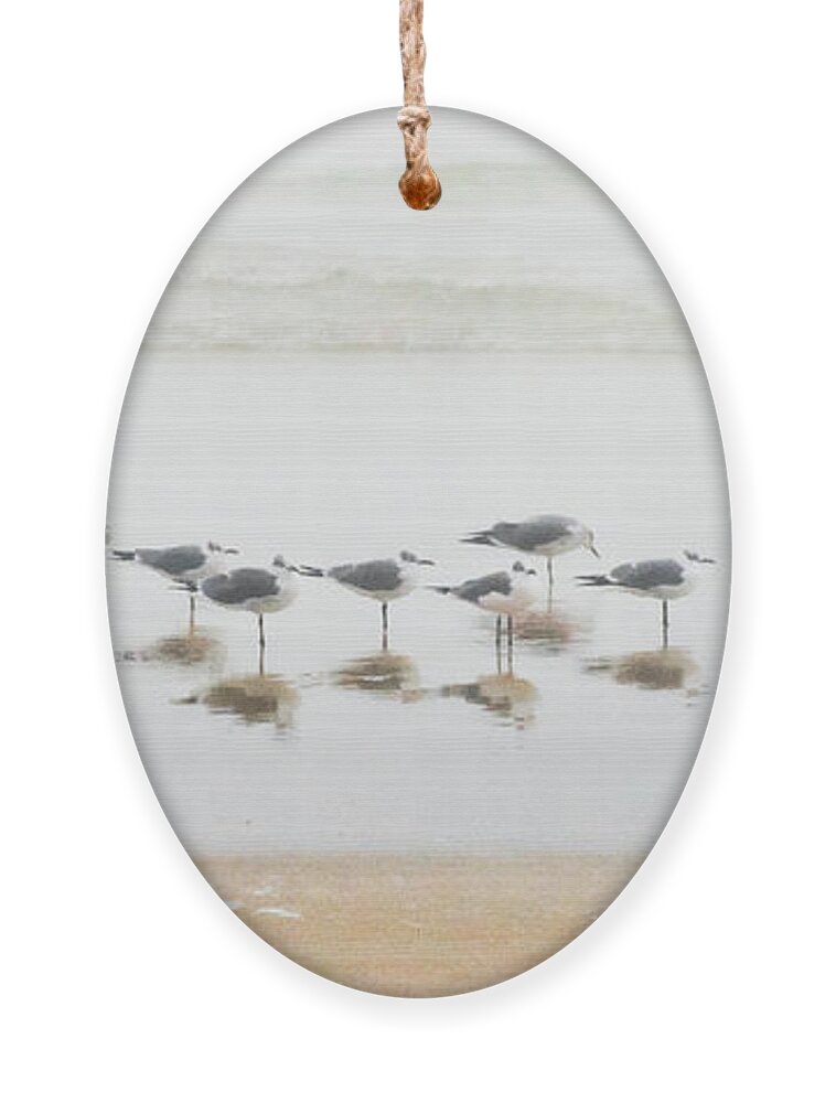 Birds Ornament featuring the photograph Grounded By Fog by Christopher Holmes