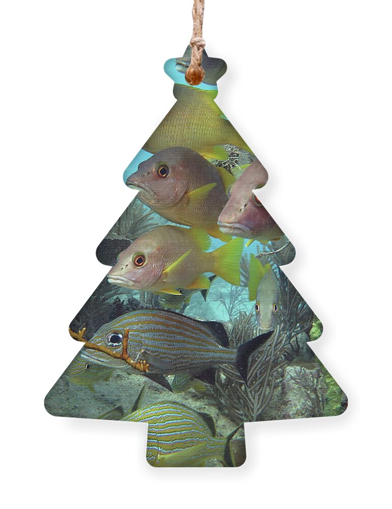 Underwater Ornament featuring the photograph Guardians of the Benwood by Daryl Duda