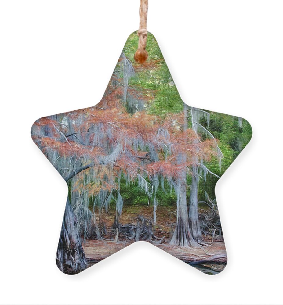 Uncertain Ornament featuring the photograph Hanging Rust by Lana Trussell