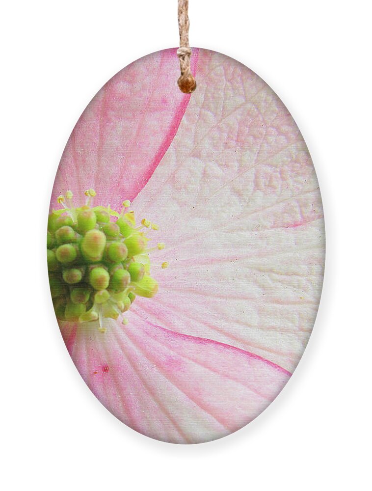 Flower Ornament featuring the photograph October Is Squish The Girls Month by Lori Lafargue