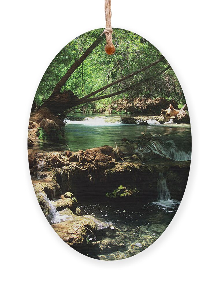 Havasupai Ornament featuring the photograph Havasu Creek In Campground by Kathy McClure