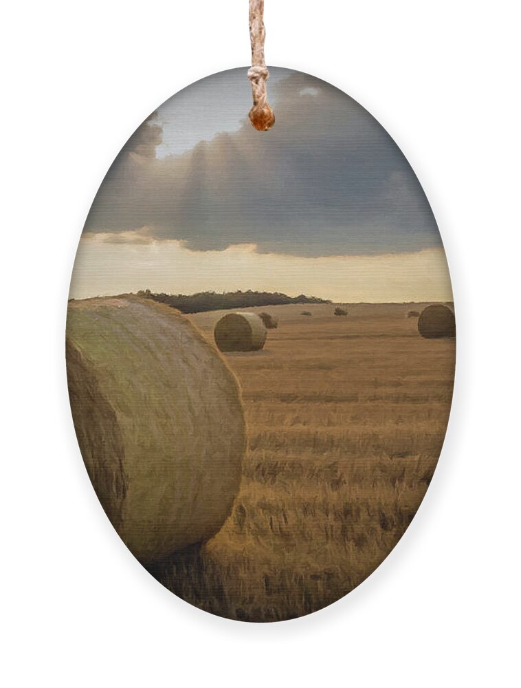 Field Ornament featuring the photograph Hey Bales and Sun Rays by David Dehner