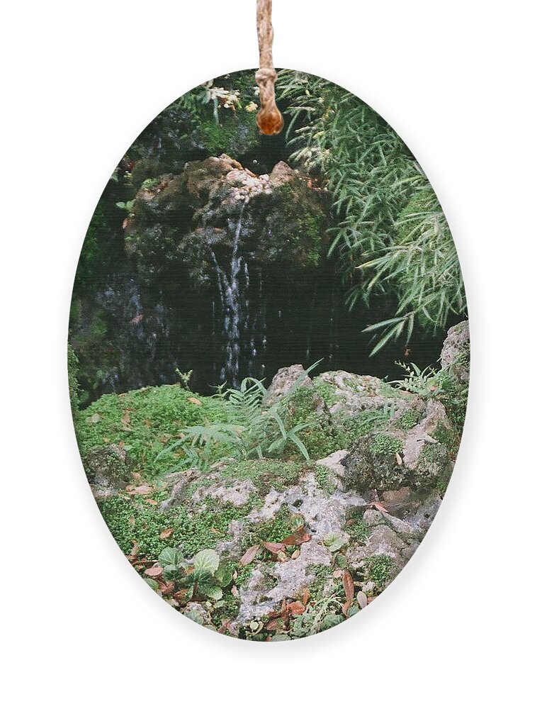 Nature Ornament featuring the photograph Hidden Waterfall by Dean Triolo