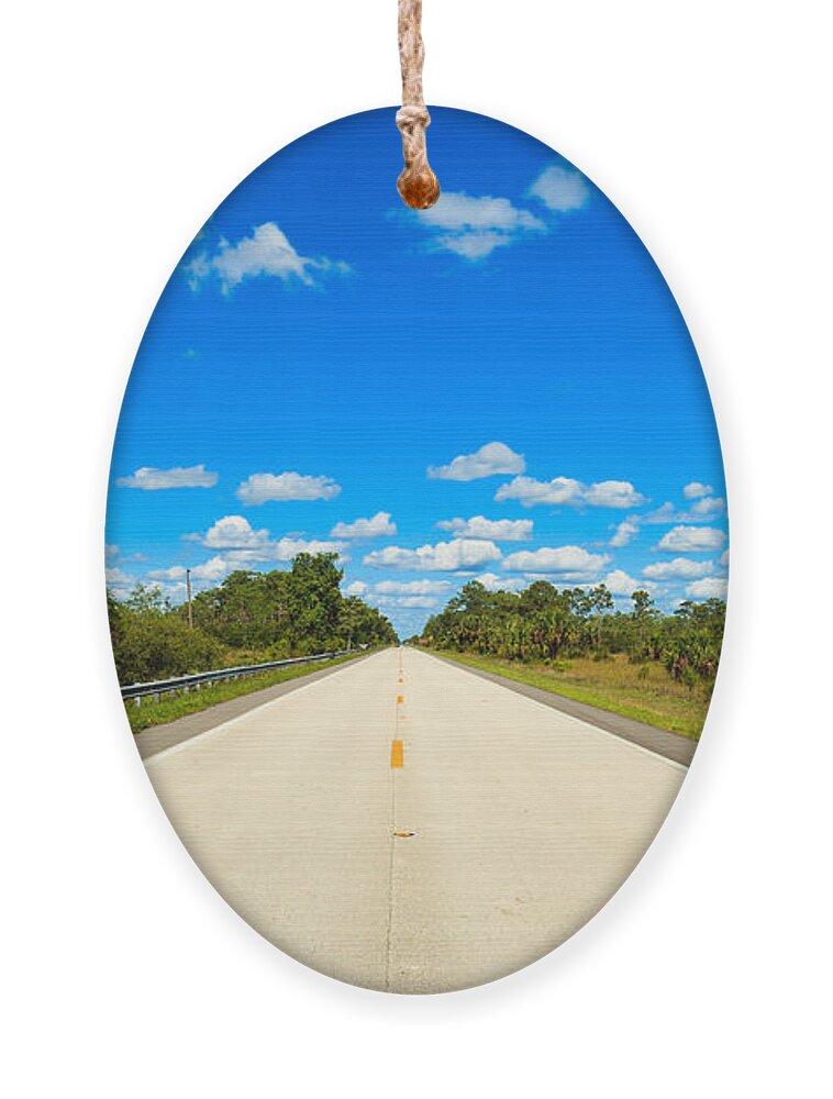 Everglades Ornament featuring the photograph Highway 41 by Raul Rodriguez