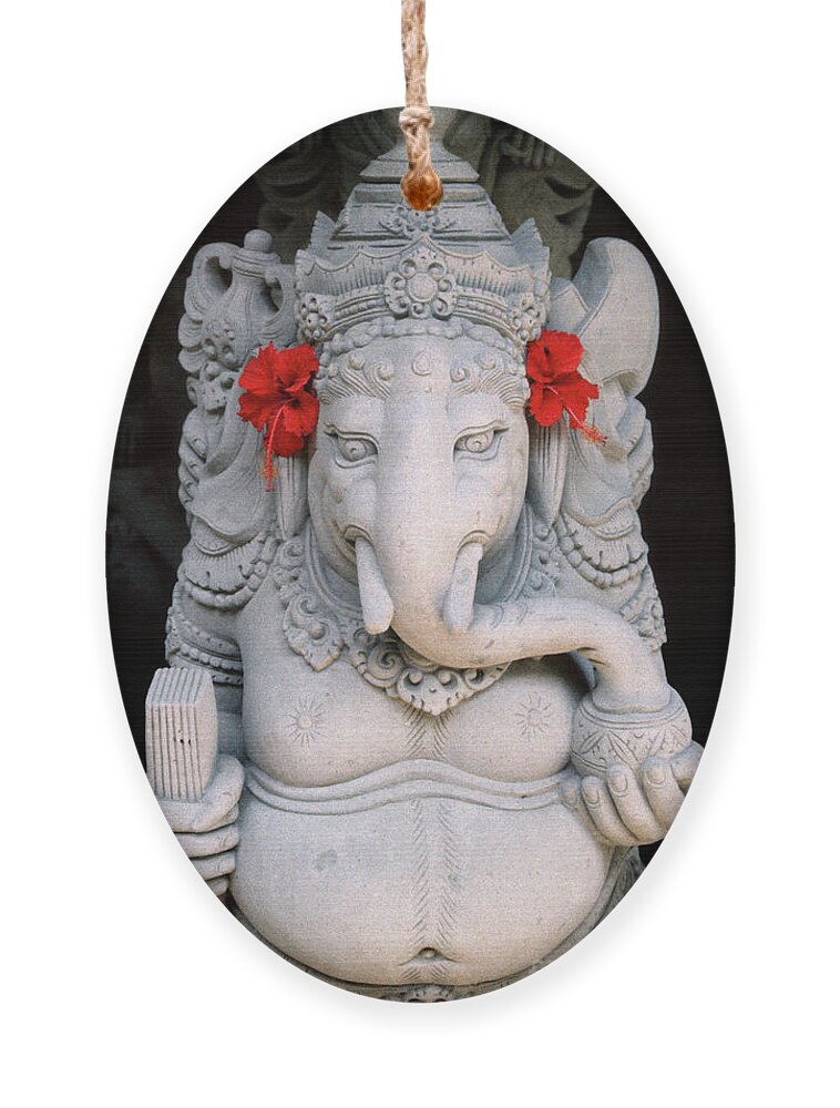Ganesha Ornament featuring the photograph Ganesha art prints - Ganesha with Hibiscus by Sharon Hudson