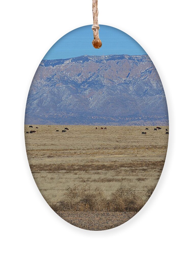 Southwest Landscape Ornament featuring the photograph Home on the range by Robert WK Clark